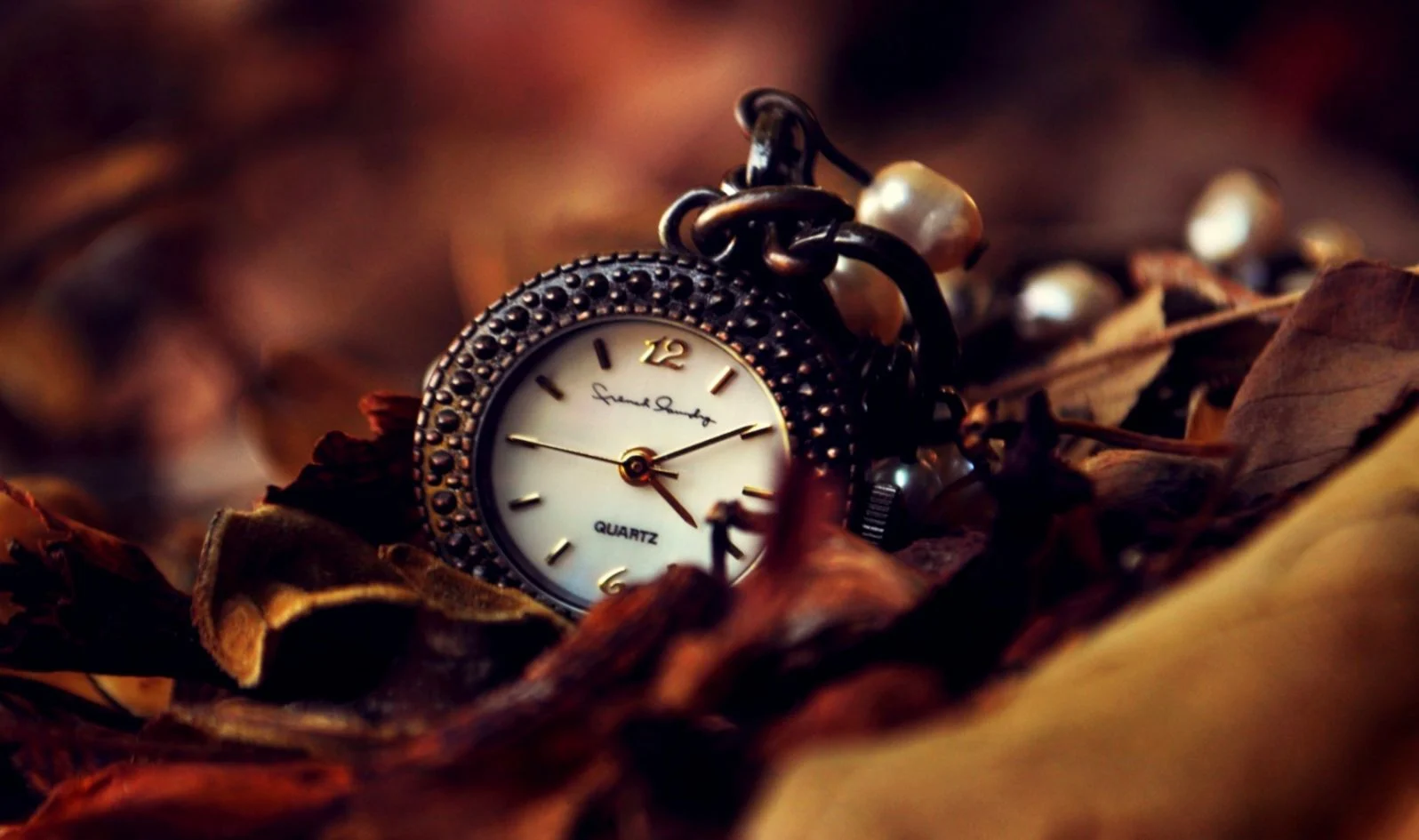 Interesting facts about watches